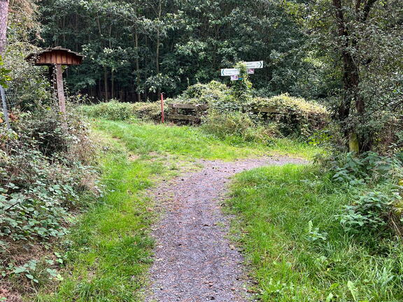 23-09-23 11-39-09 7346